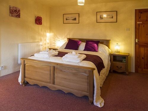 Magpies 4*